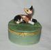 Katzen Dose, oval