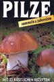 Pilze